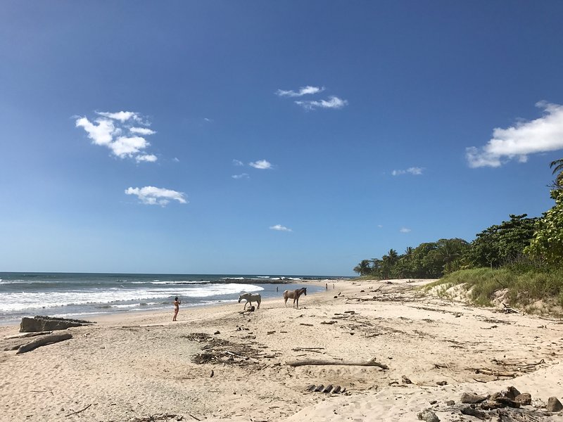 Las Mejores playas de Costa Rica 52