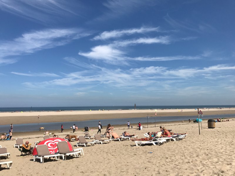 Las Mejores Playas de Holanda 47