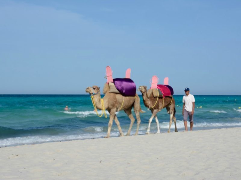 Las Mejores Playas de Túnez 42