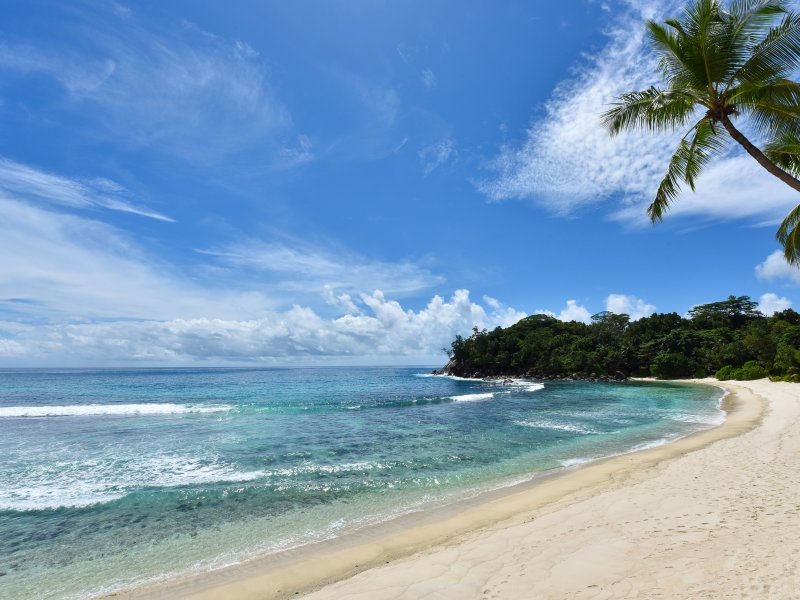 Las Mejores Playas de República Dominicana 52