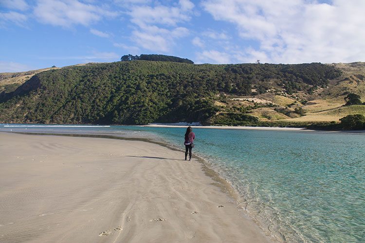Las Mejores Playas De Nueva Zelanda 52