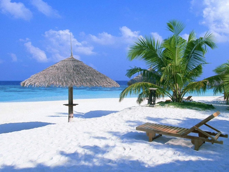 Las Mejores Playas de República Dominicana 41