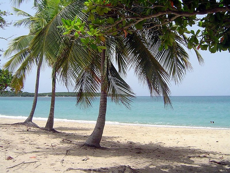Las Mejores Playas de Puerto Rico 44