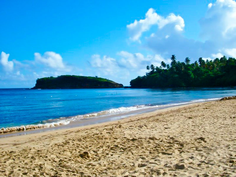 Las Mejores Playas de Puerto Rico 46