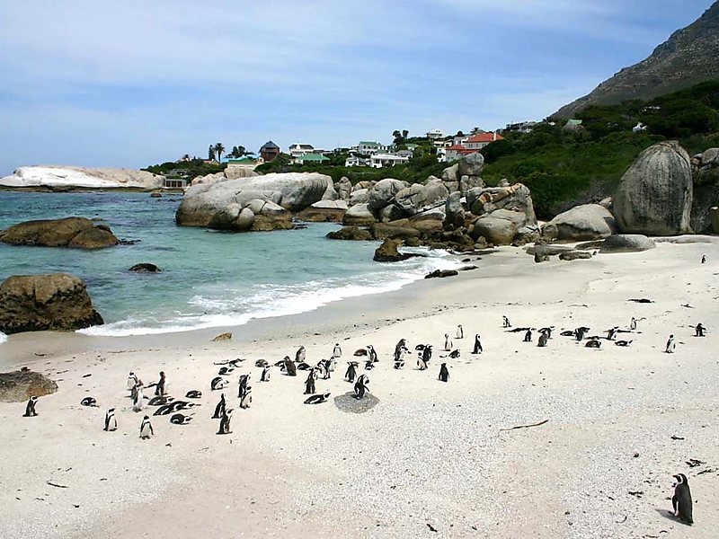 Las Mejores Playas de Sudáfrica 46