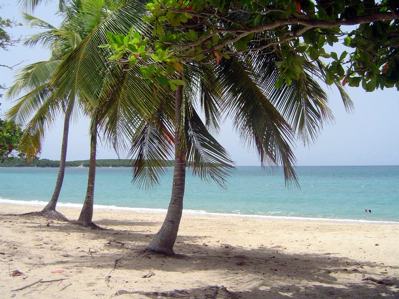 Las Mejores Playas de Puerto Rico 47