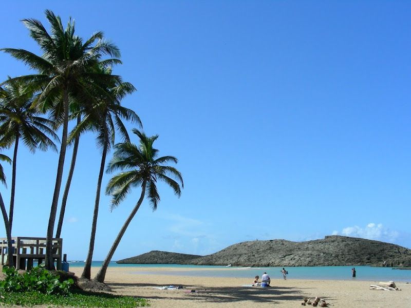 Las Mejores Playas de Puerto Rico 49