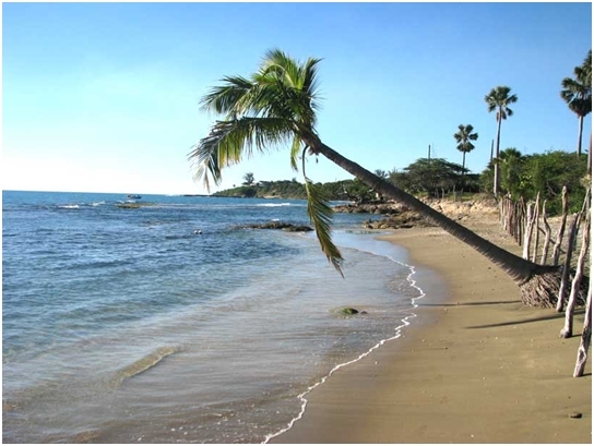 Las Mejores Playas de Jamaica 50