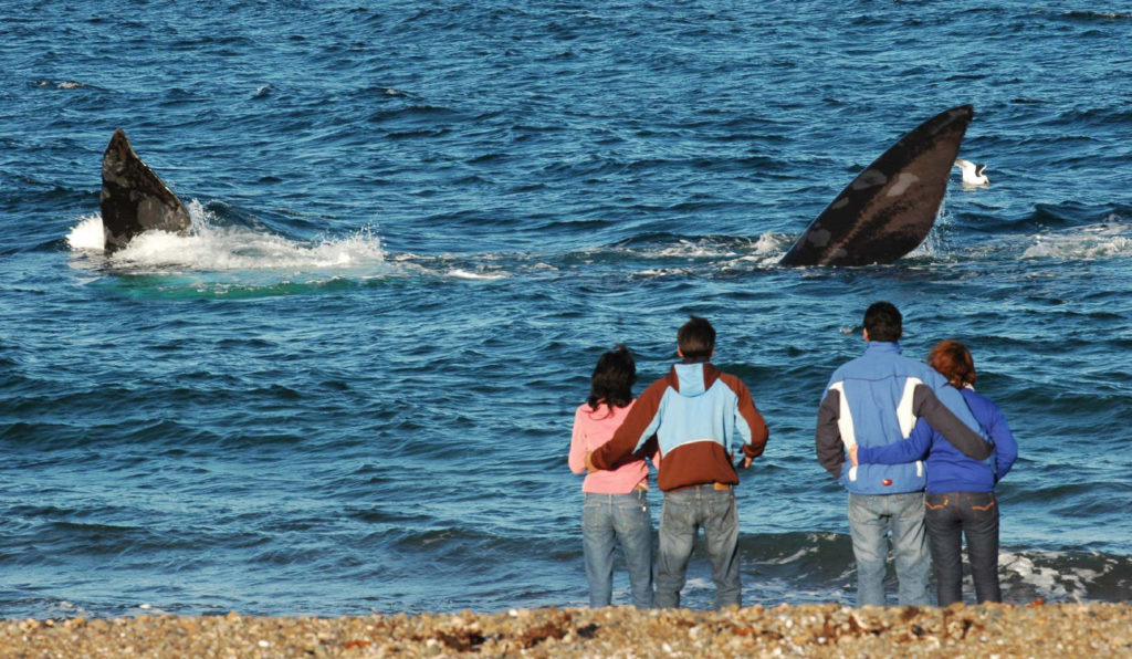 Playa El Doradillo | Hogar de ballenas y hermosos atardeceres 1