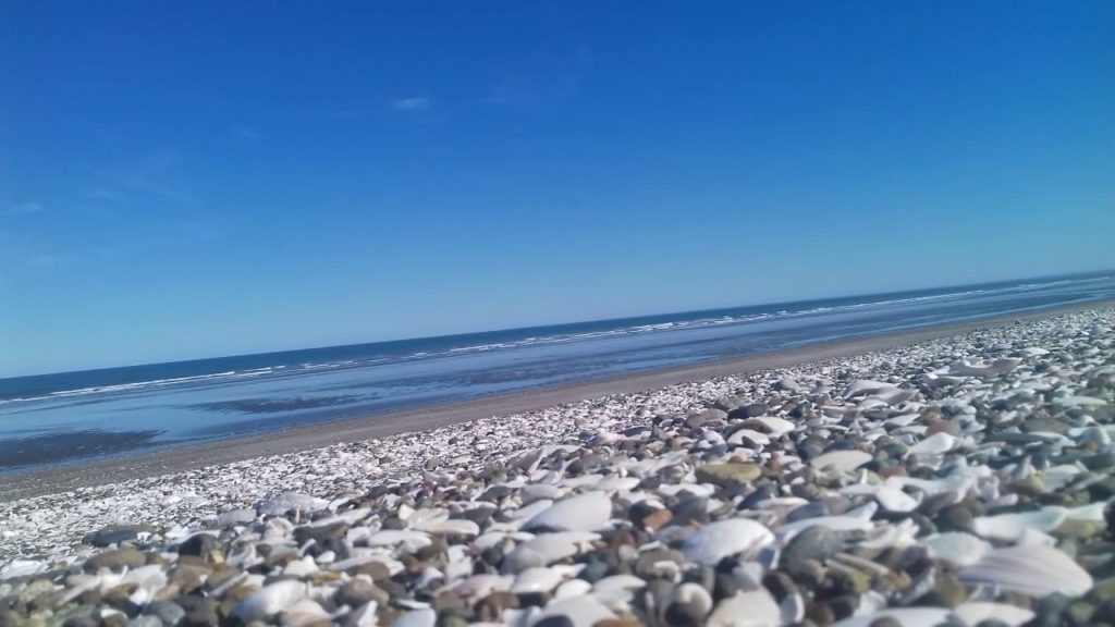 Playa Las Conchillas | Una alfombra de caracoles que se funde con un cristalino mar 1