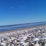 Playa Las Conchillas | Una alfombra de caracoles que se funde con un cristalino mar 6