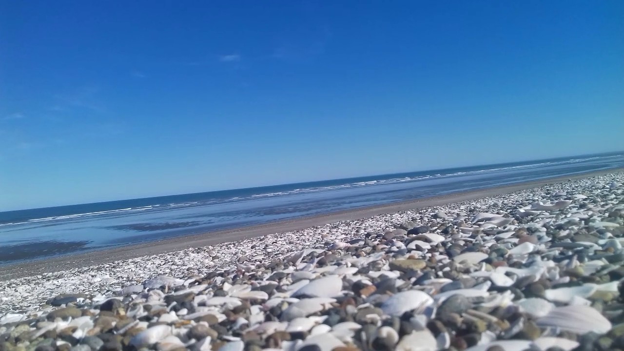 Playa Las Conchillas | Una alfombra de caracoles que se funde con un cristalino mar 4